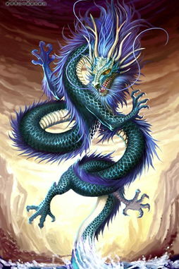 圣龙皇