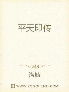 平天印传