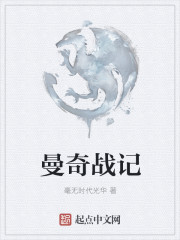 曼奇战记