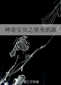 神奇宝贝之壁垒的源